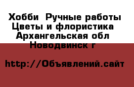 Хобби. Ручные работы Цветы и флористика. Архангельская обл.,Новодвинск г.